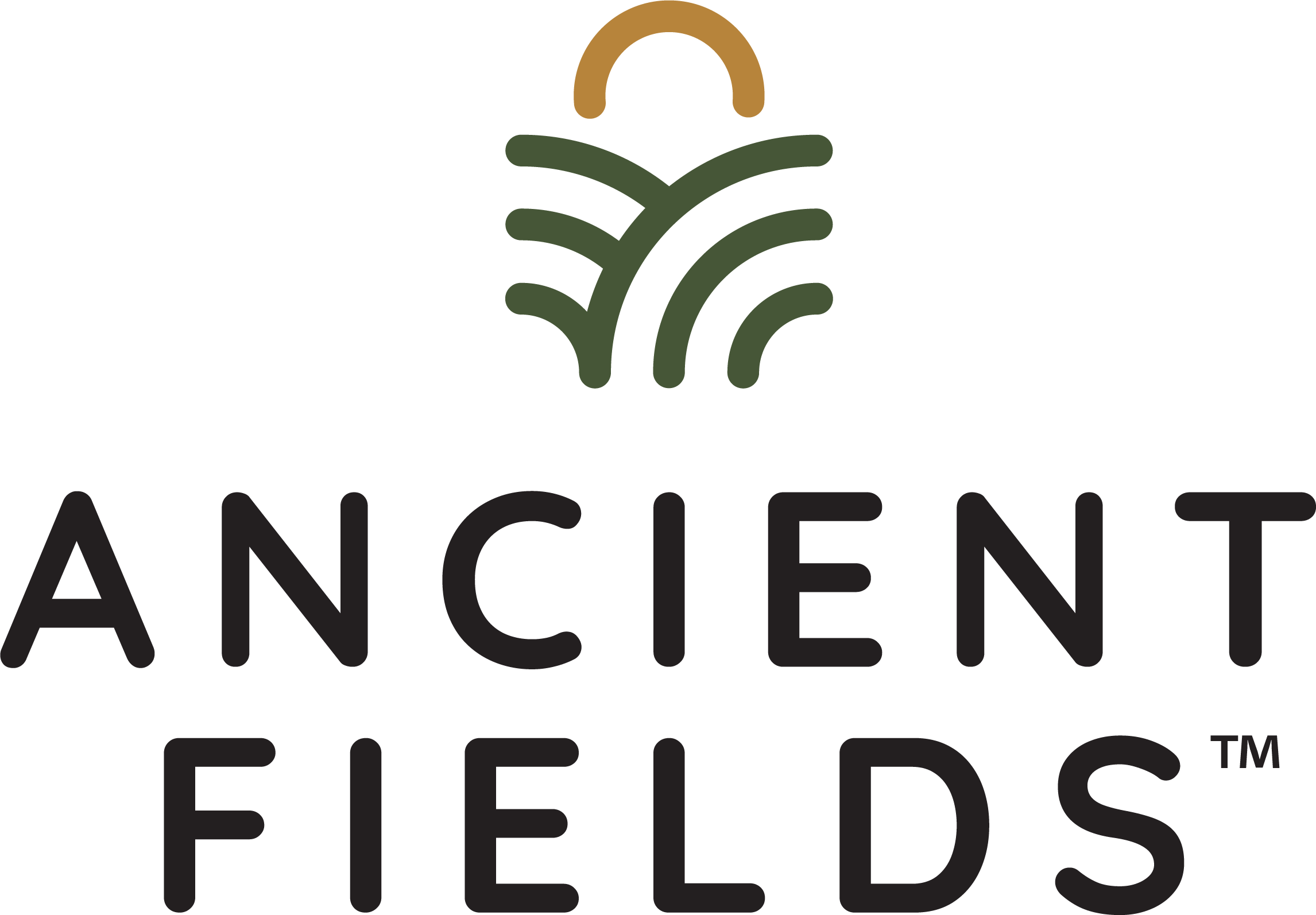 Ancient Fields